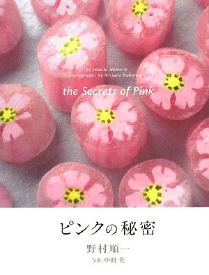 Amazon.co.jp: 野村 順一: 本、バイオグラフィー、最新アップデート